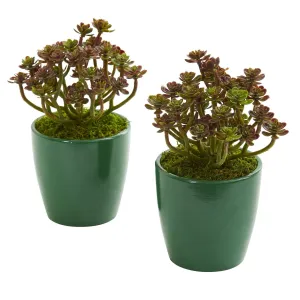 8" Sedum Artificial Plant in Green Planter (Set of 2)"