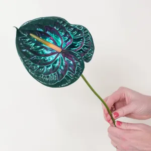 Emerald City Iridescent Anthurium